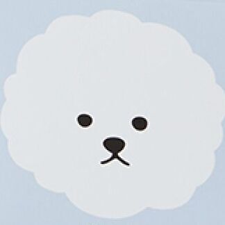 Bichon