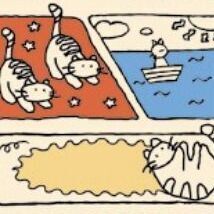 Cat's Journey