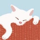 Snuggle Cat