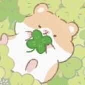 Lucky Hamster
