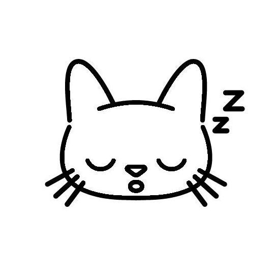 06 Sleeping