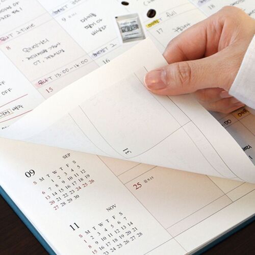 2026 Big Official Monthly Scheduler