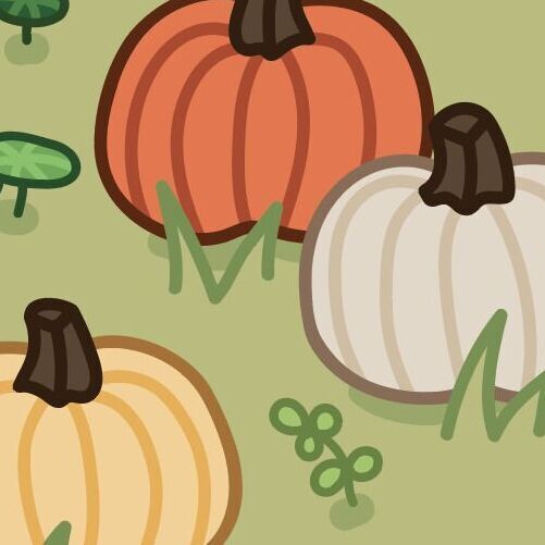 Pumpkin Patch