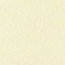 04 Custard Yellow