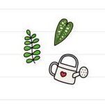 Plants