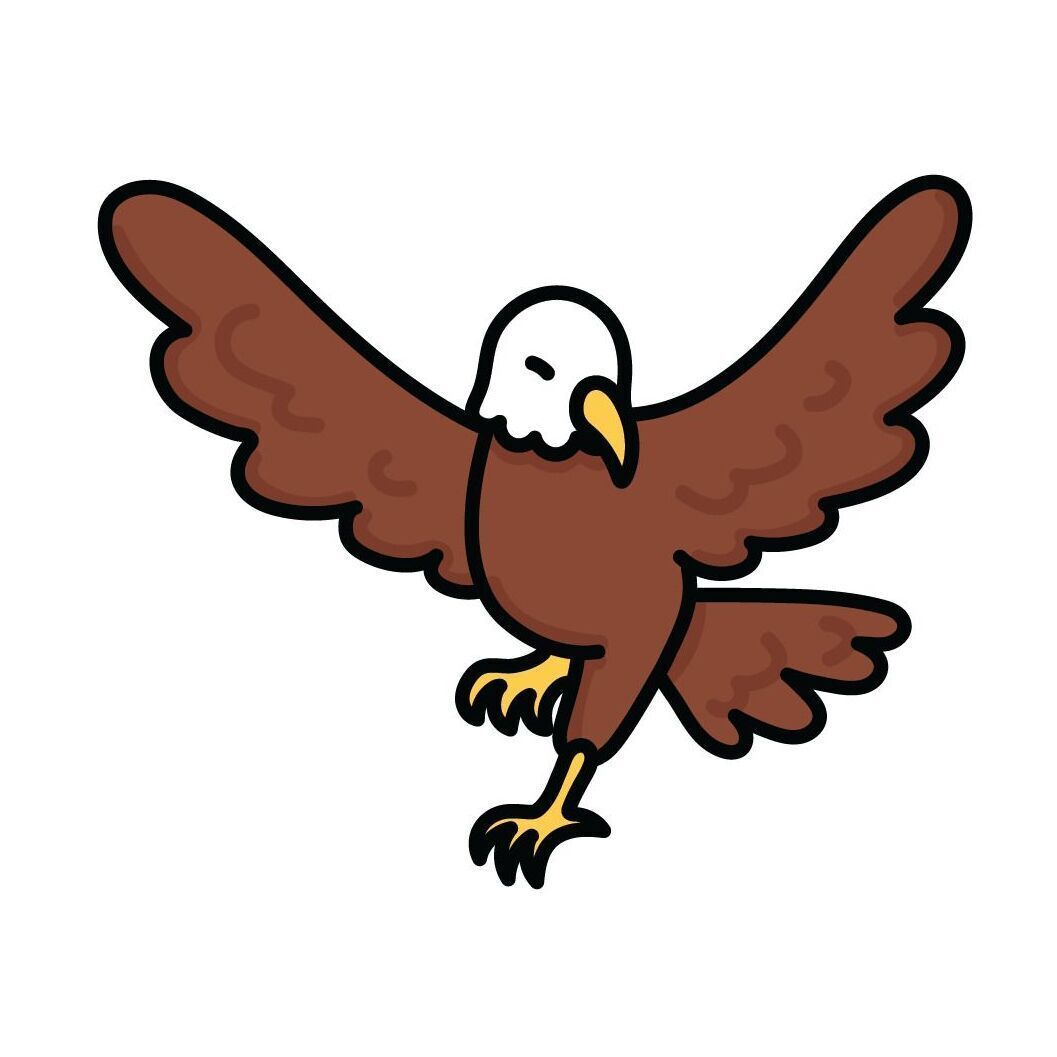 03 Bald Eagle