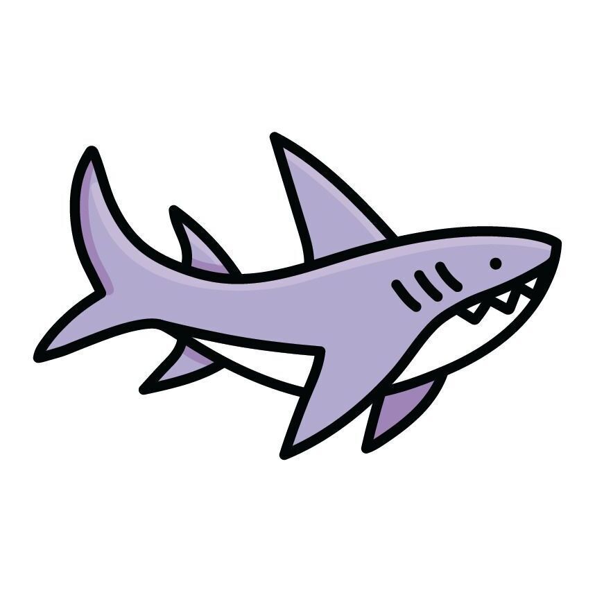 04 Shark