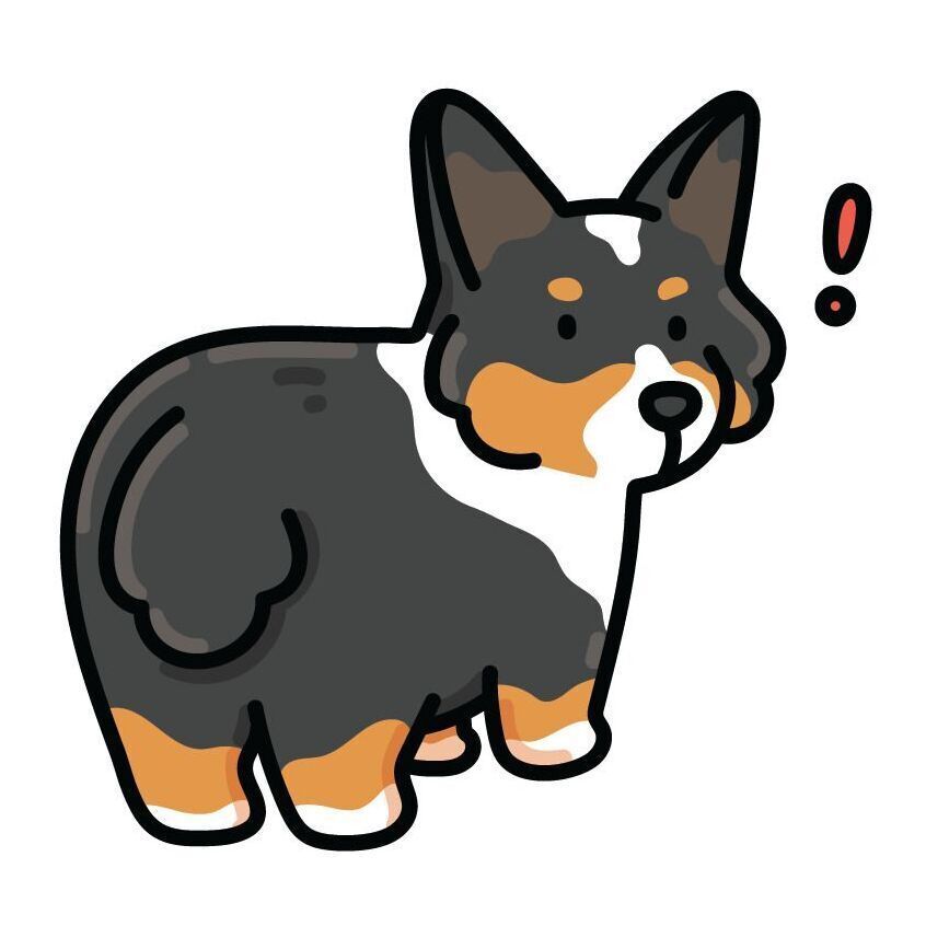 06 Corgi