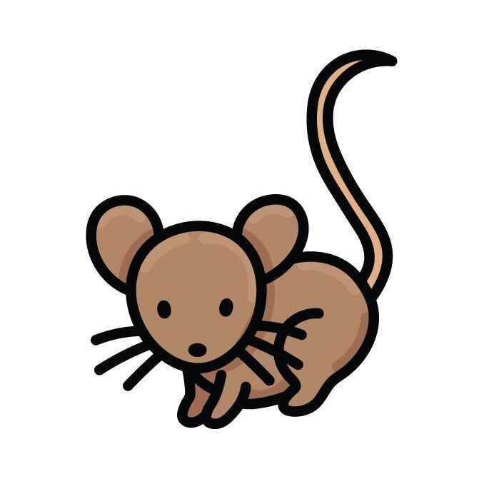 11 Mouse