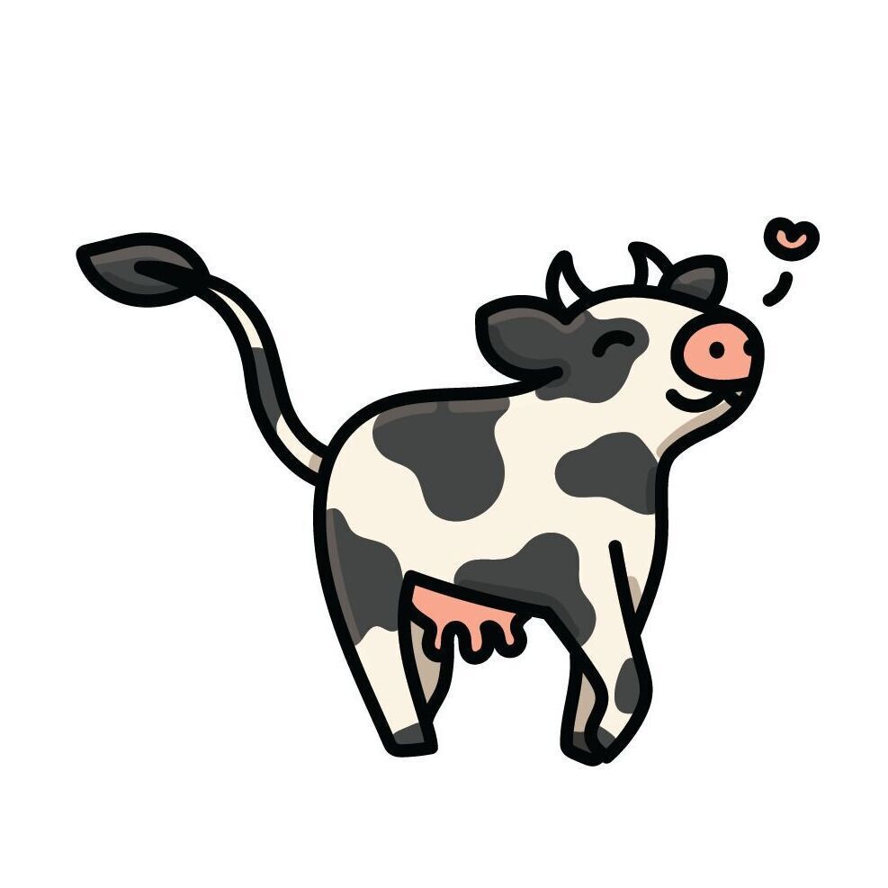 12 Cow