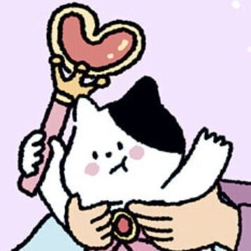 Wizard Cat