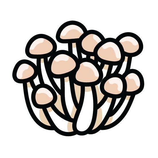 05 Mushroom