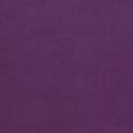 2026 Plan Zip Weekly Scheduler, Grape