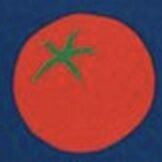 Fountain Friendly Zip Grid Notebook, Tomato