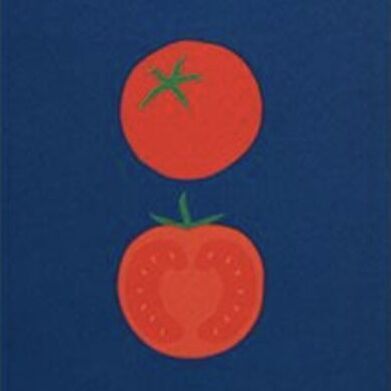 Fountain Friendly Zip Grid Notebook, Tomato