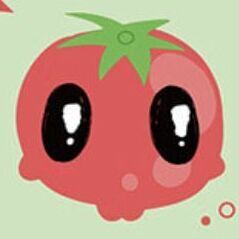 2026 Light Medium Ardium Planner, Tomato