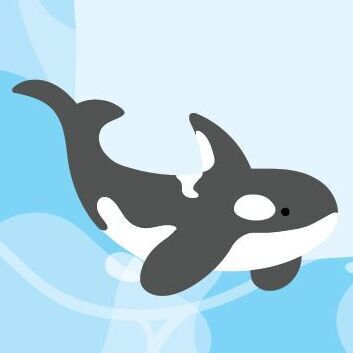 04 Orca