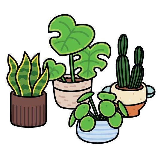 Plants
