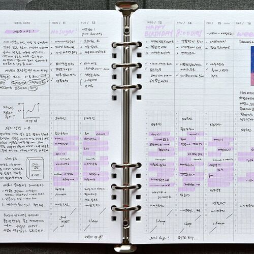 2026 Classy Gentle 6 Ring A5 Planner - Image 12