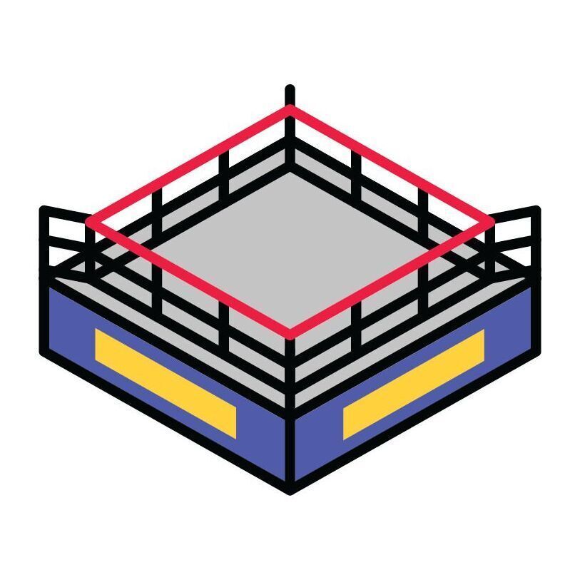 13 Boxing Ring