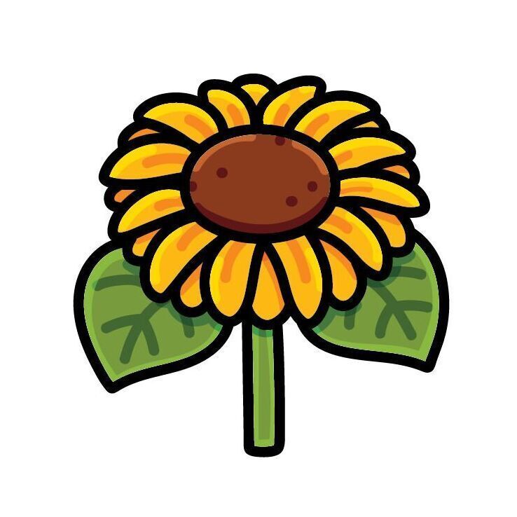 03 Sunflower