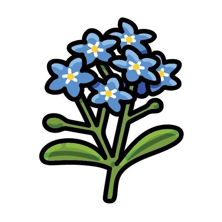 15 Forget-Me-Not
