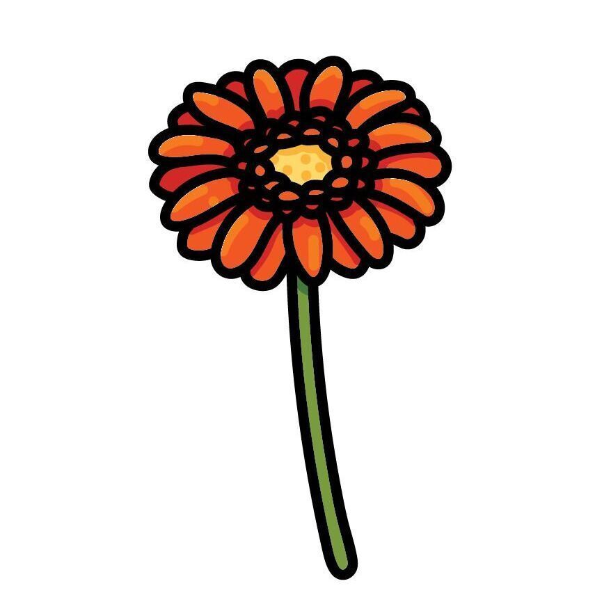 19 Gerbera Daisy