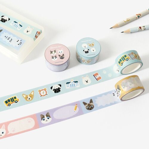 Reading Pet Masking Tape
