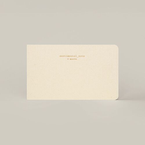 Sentimental 6 Month Weekly Planner - Image 3