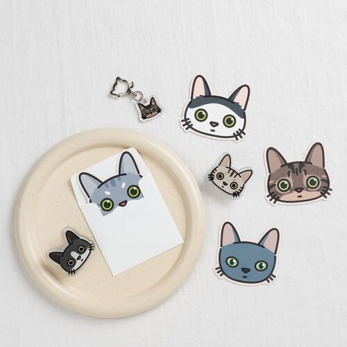 Cat Face Acrylic Key Ring - Image 15