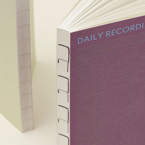 6 Month Daily Recording System Planner - Image 7