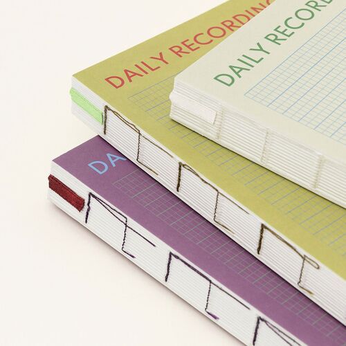 6 Month Daily Recording System Planner - Image 6