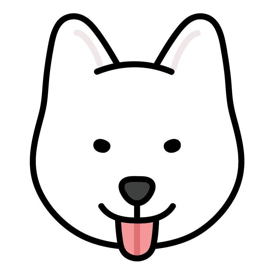 06 Jindo