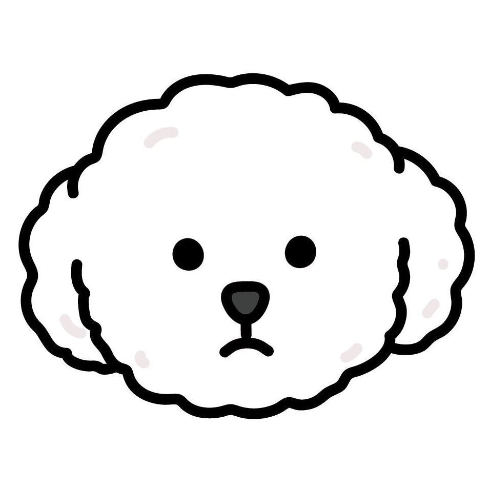 10 Bichon