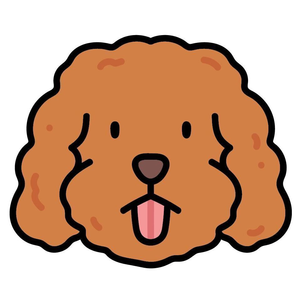 15 Goldendoodle