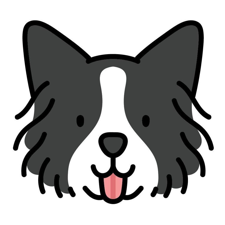 18 Border Collie