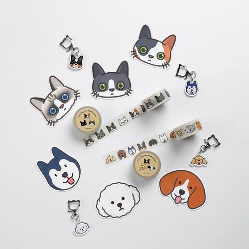 10pcs Mini Cat Face Card Set - Image 10