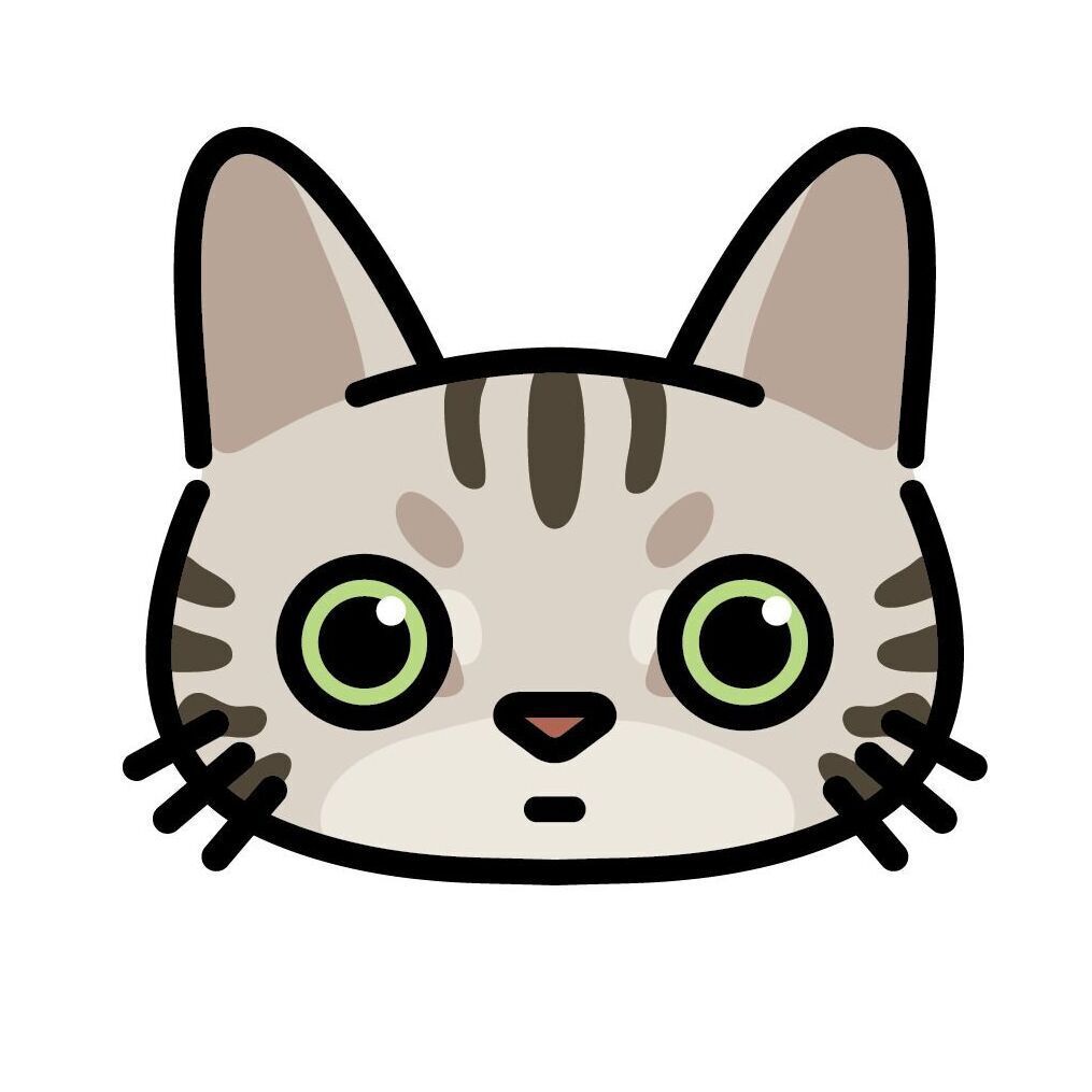 10pcs Mini Cat Face Card Set, Set 03 American Shorthair