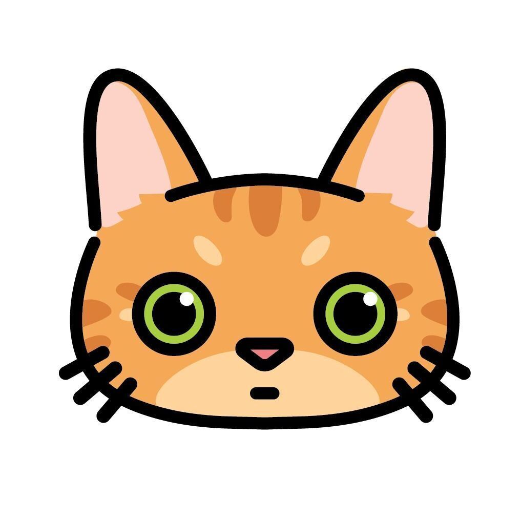 10pcs Mini Cat Face Card Set, Set 04 Orange