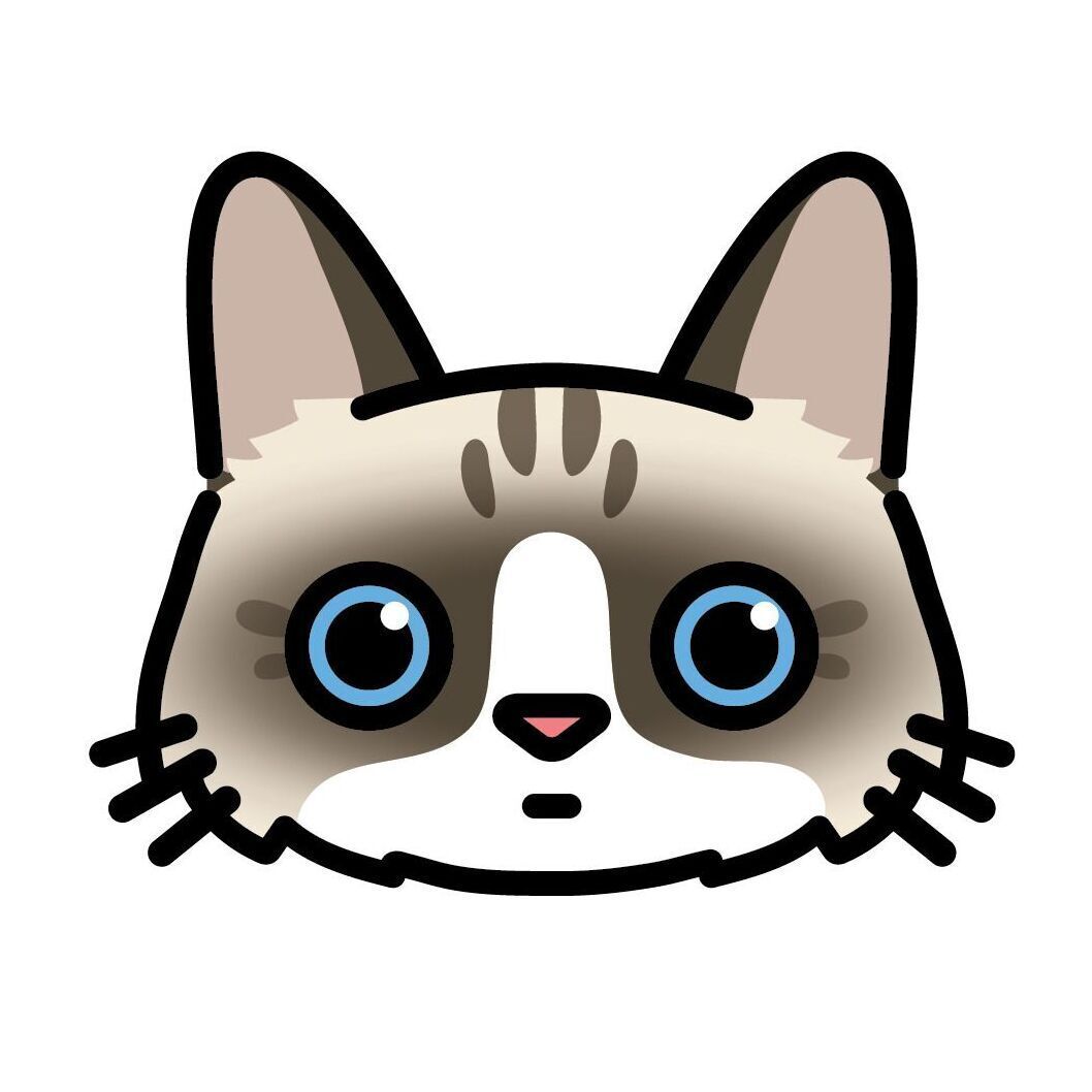 10pcs Mini Cat Face Card Set, Set 10 Ragdoll
