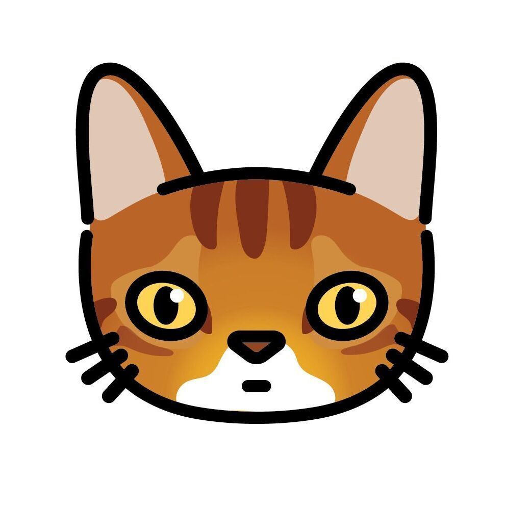 10pcs Mini Cat Face Card Set, Set 13 Abyssinian