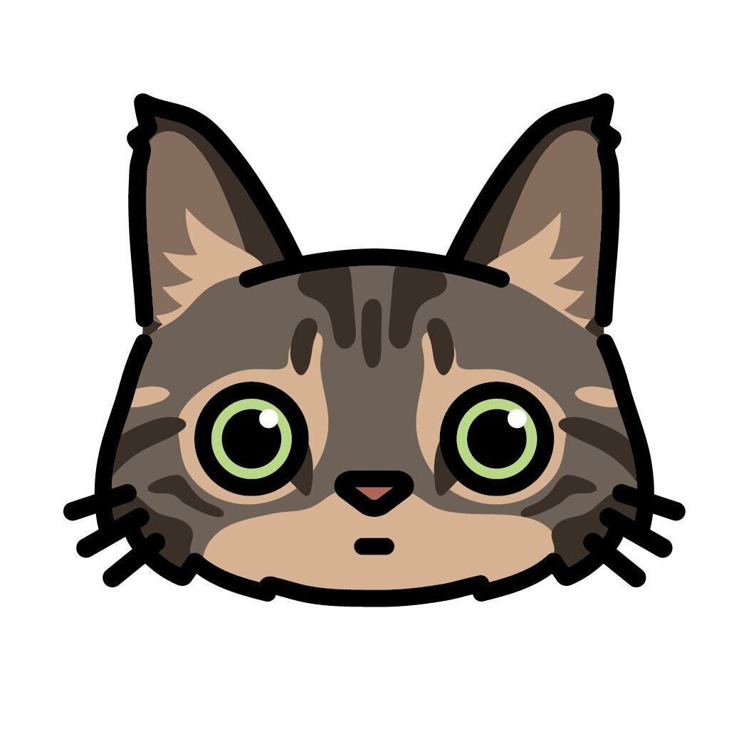 10pcs Mini Cat Face Card Set, Set 14 Maine Coon