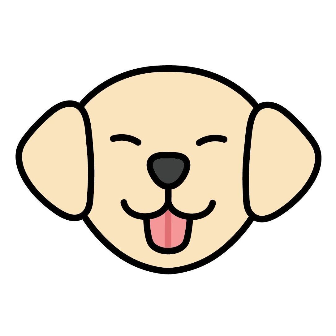 Set 17 Labrador Retriever