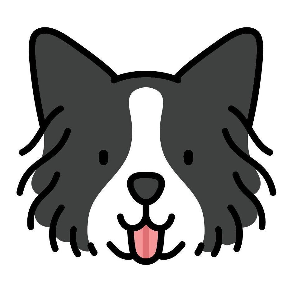 Set 18 Border Collie