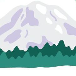 Removable (2 sheets)