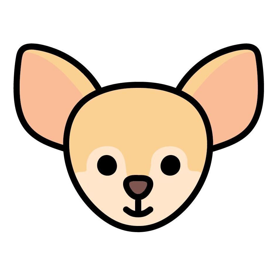 09 Chihuahua