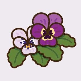 14 Pansy