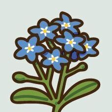 15 Forget-Me-Not