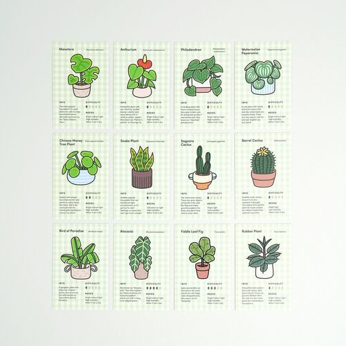 Houseplant 2026 Monthly Stationery Gift Set (7pcs) - Image 15