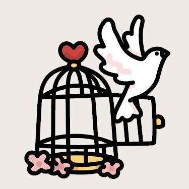 Set 04 the adventure begins!